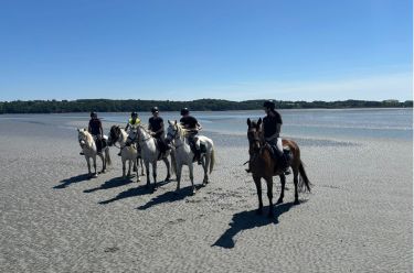 Rando Cheval - Voyage &agrave; cheval